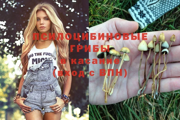 MESCALINE Белокуриха