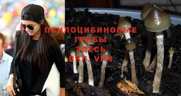 MESCALINE Белокуриха