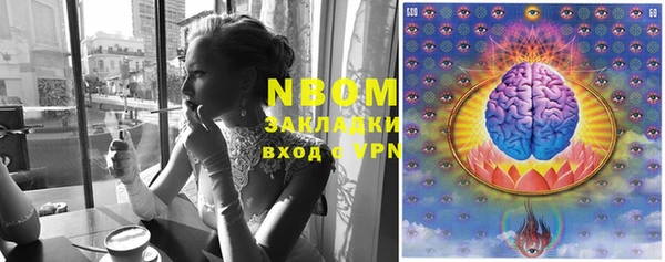 спайс Беломорск